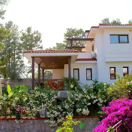 Terrace Life Villas And By Safiya Hotel *